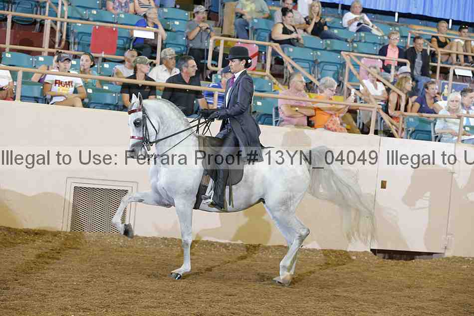 Proof 13yn_04049