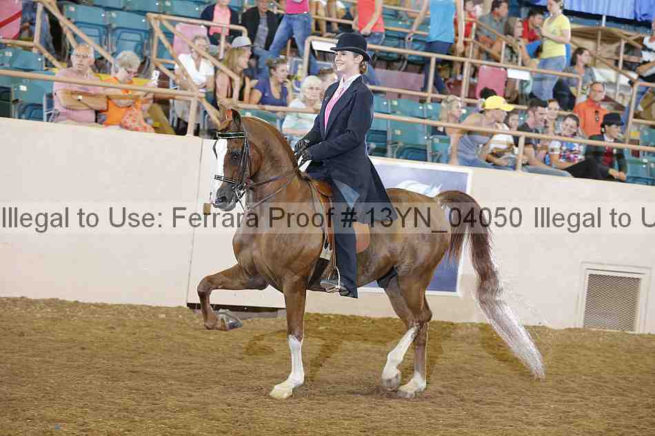 Proof 13yn_04050