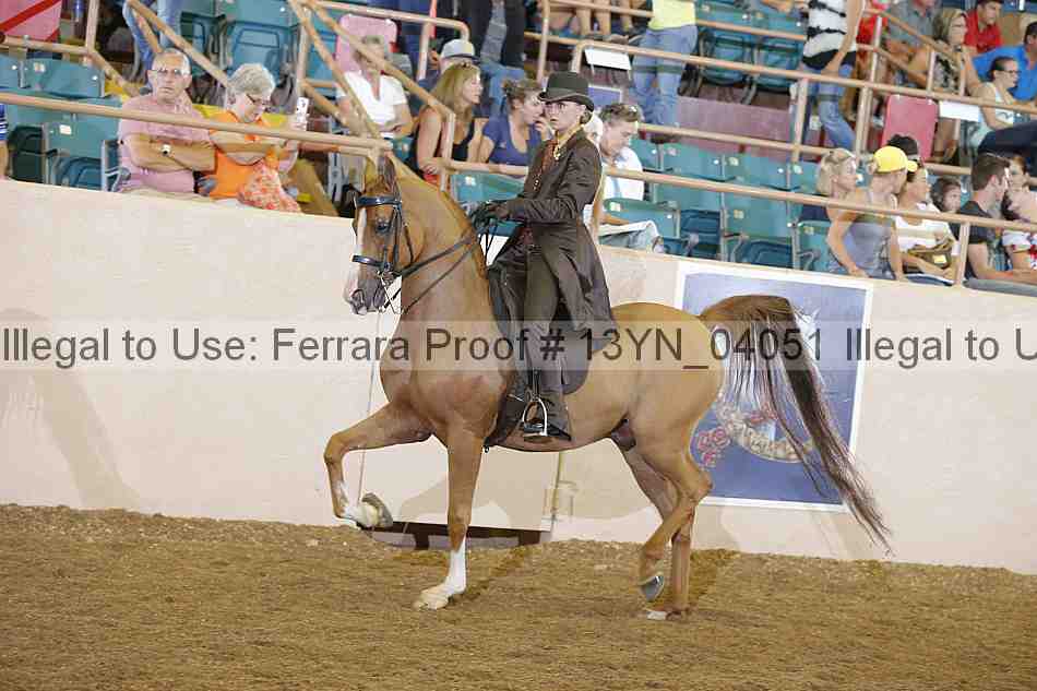 Proof 13yn_04051