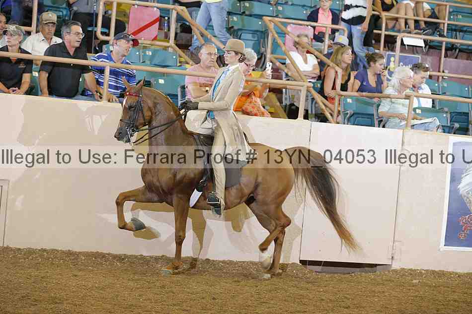 Proof 13yn_04053