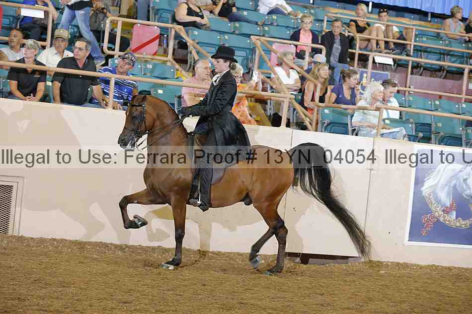 Proof 13yn_04054