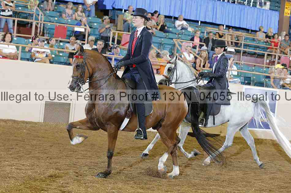 Proof 13yn_04055