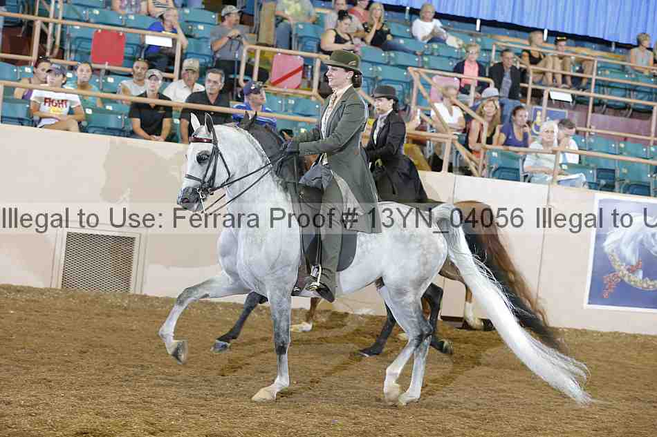 Proof 13yn_04056