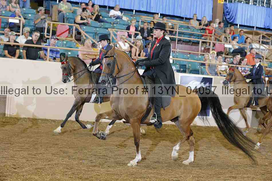 Proof 13yn_04057