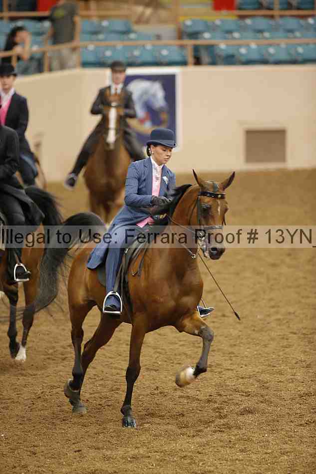 Proof 13yn_04058