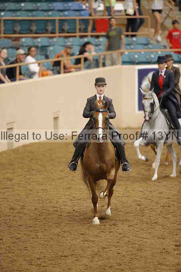 Proof 13yn_04059