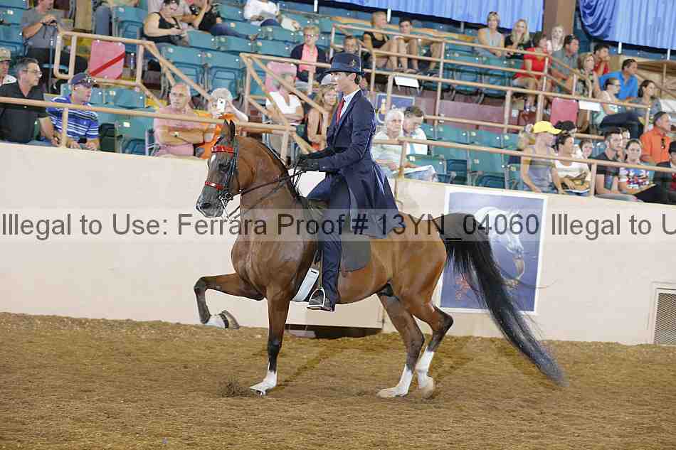 Proof 13yn_04060