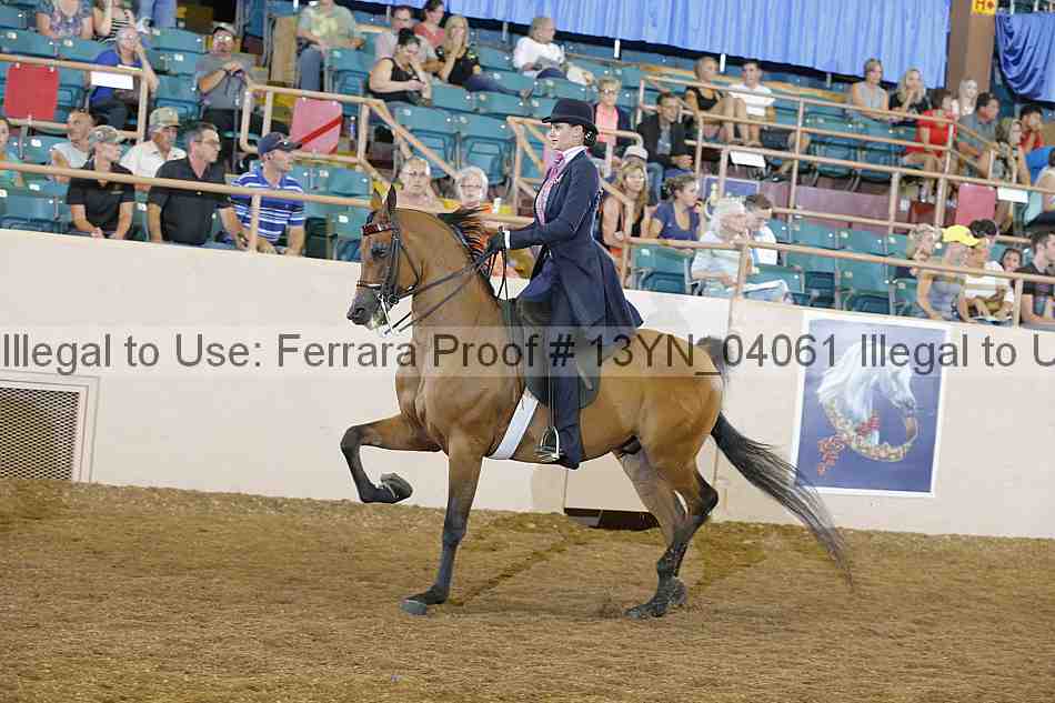 Proof 13yn_04061