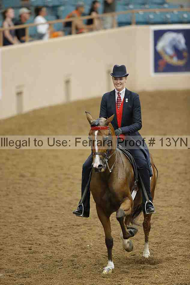 Proof 13yn_04062