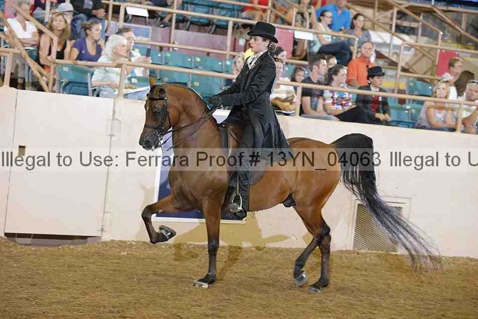 Proof 13yn_04063