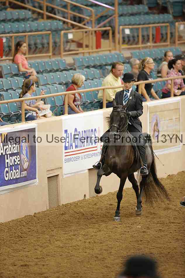 Proof 13yn_04064