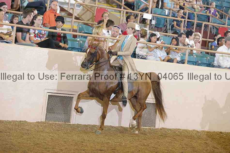 Proof 13yn_04065
