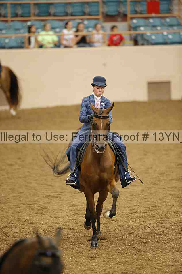 Proof 13yn_04066