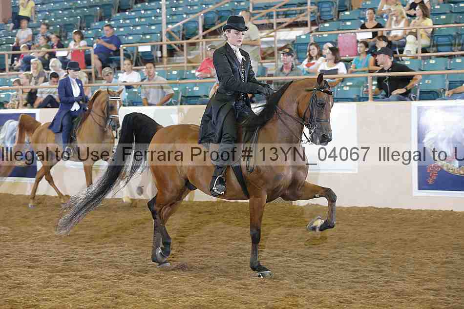 Proof 13yn_04067