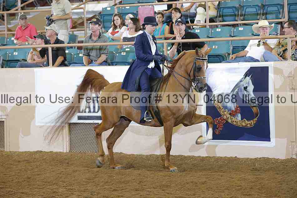 Proof 13yn_04068