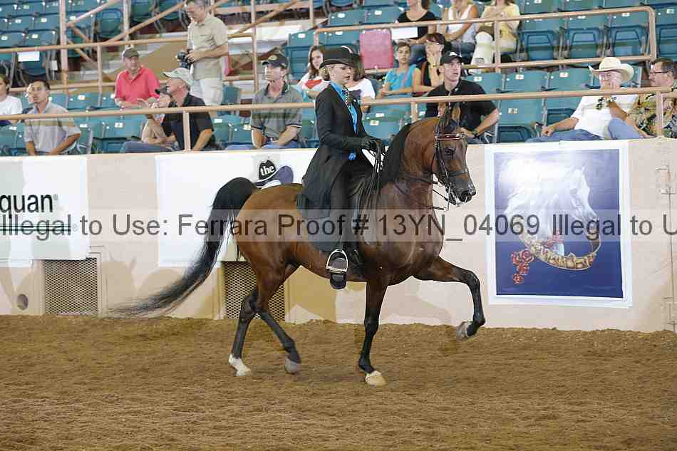 Proof 13yn_04069