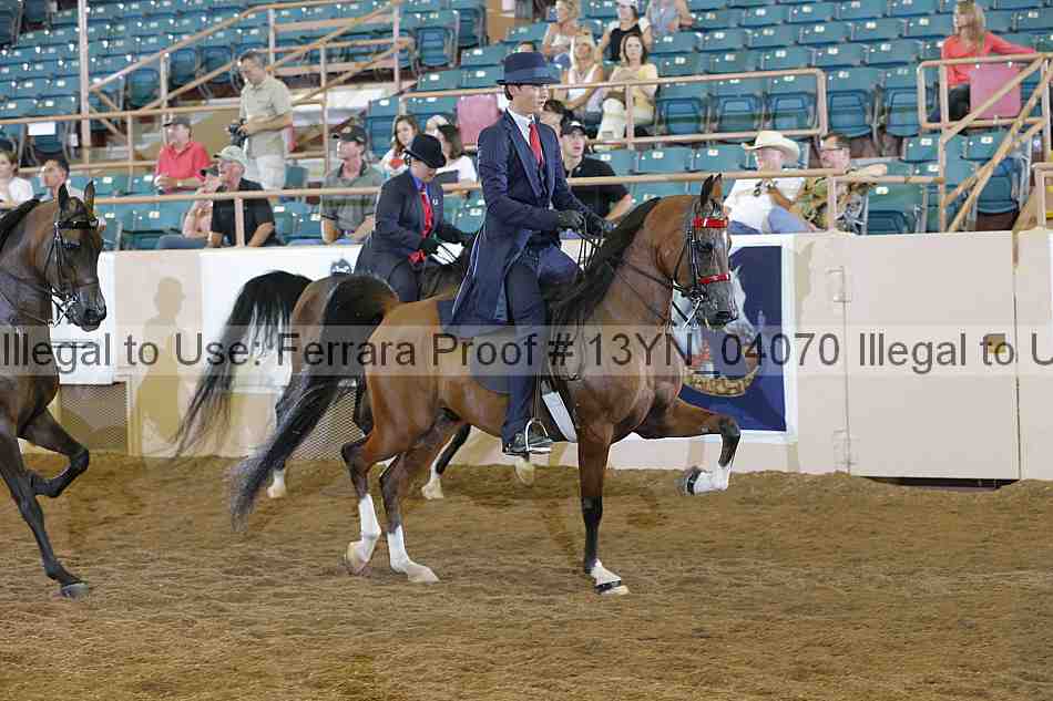 Proof 13yn_04070