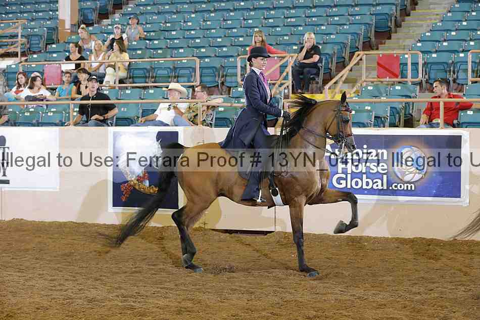 Proof 13yn_04071