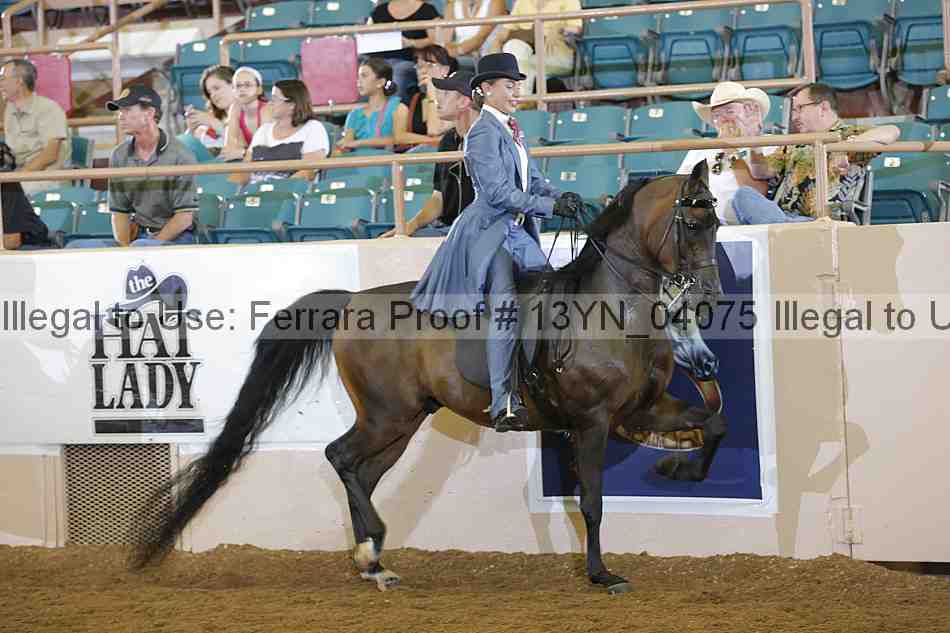 Proof 13yn_04075