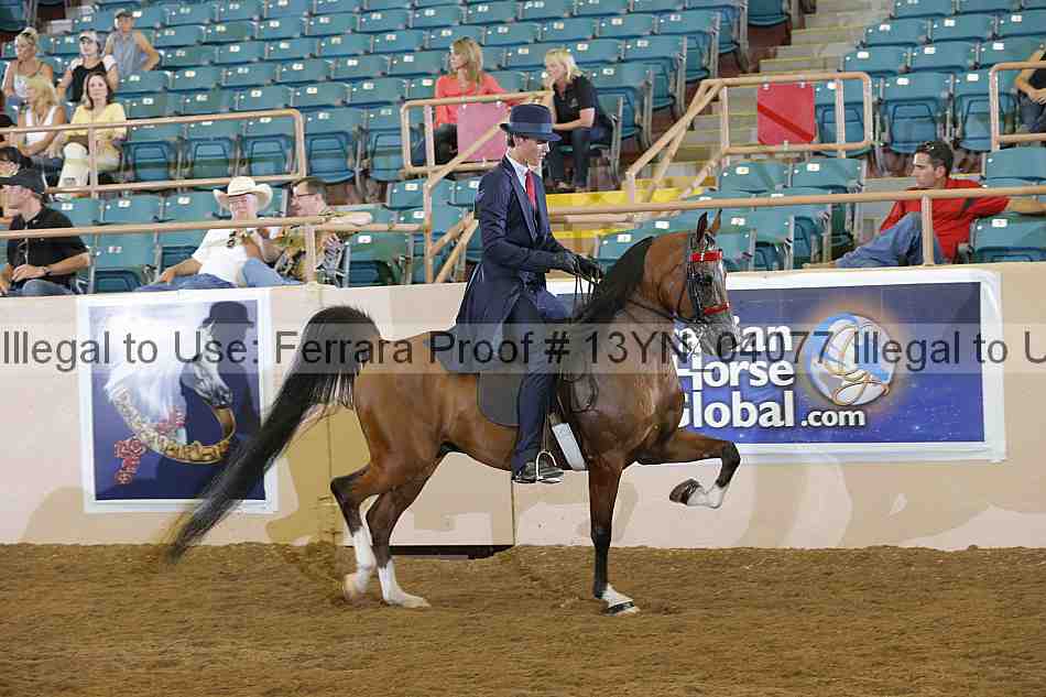 Proof 13yn_04077