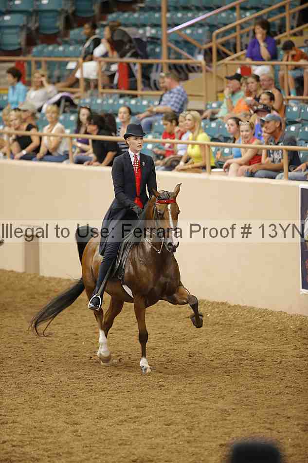 Proof 13yn_04079