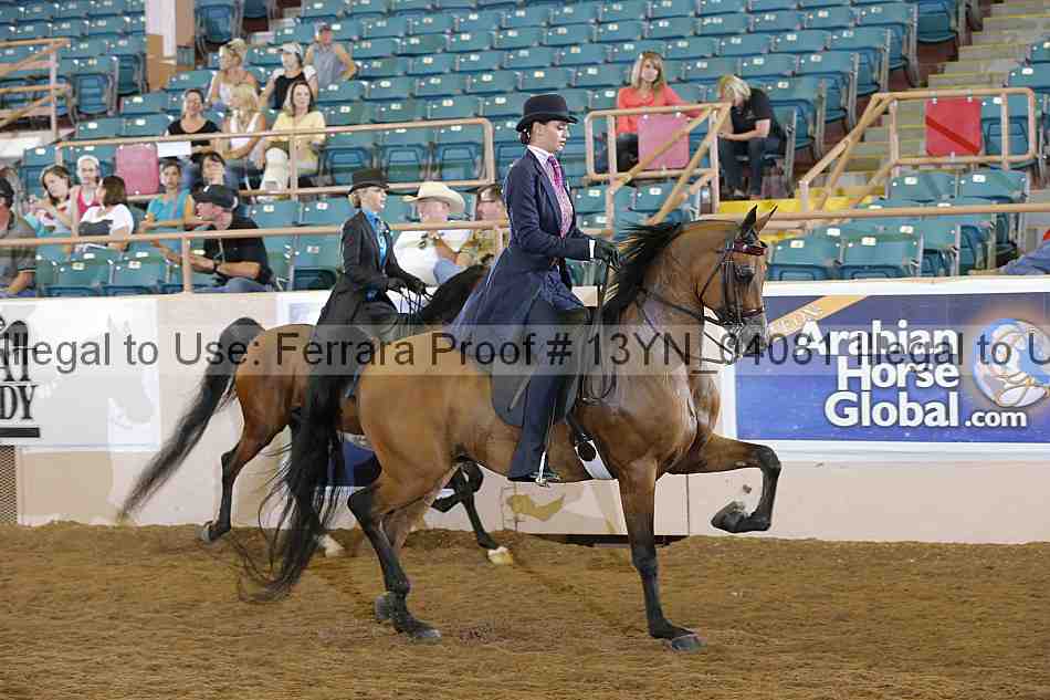 Proof 13yn_04081