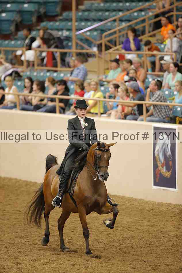 Proof 13yn_04082