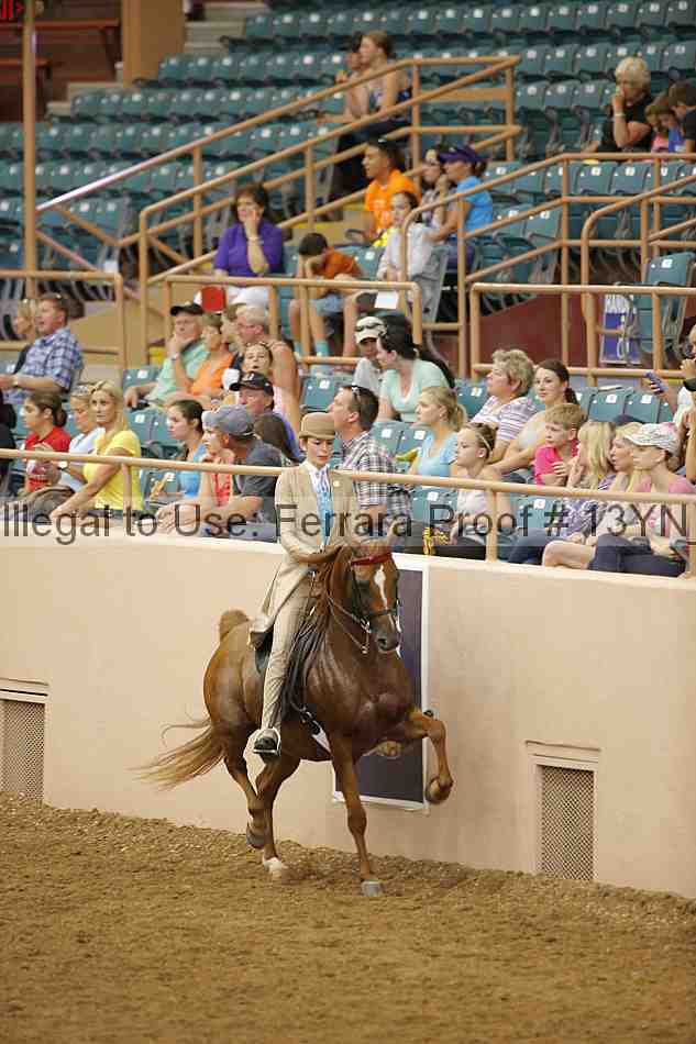 Proof 13yn_04083