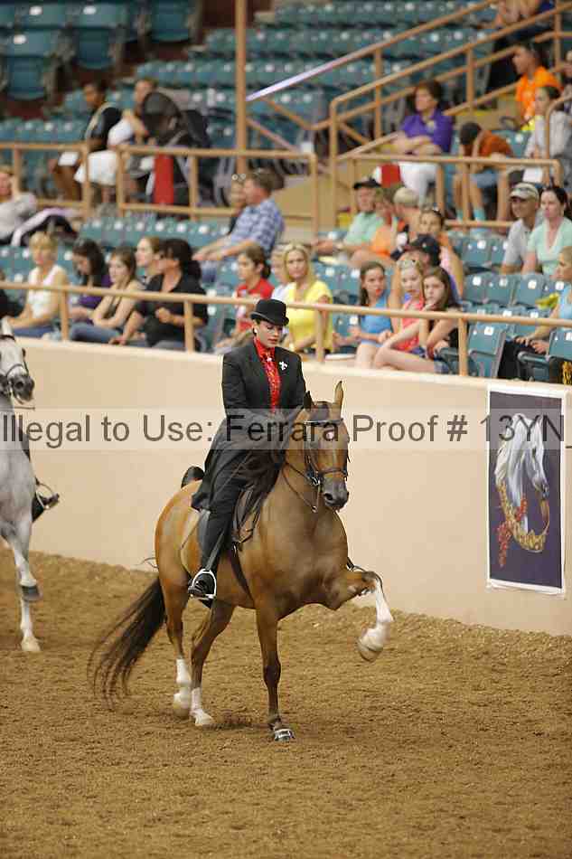 Proof 13yn_04085