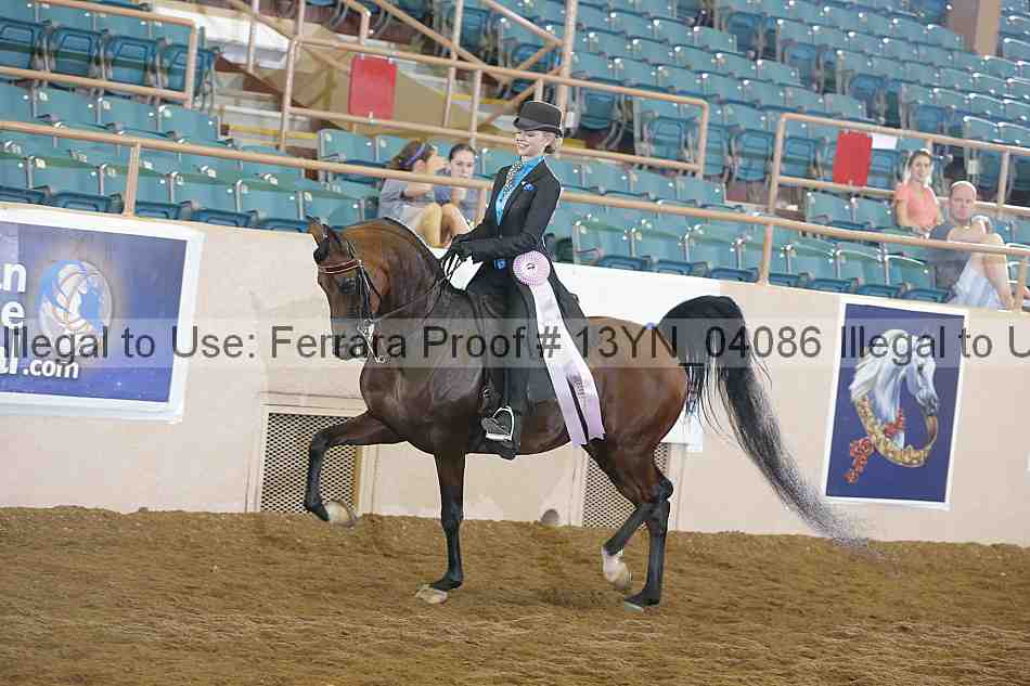 Proof 13yn_04086