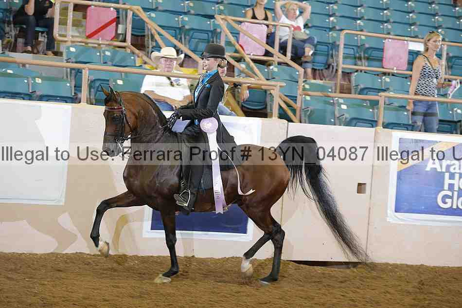 Proof 13yn_04087
