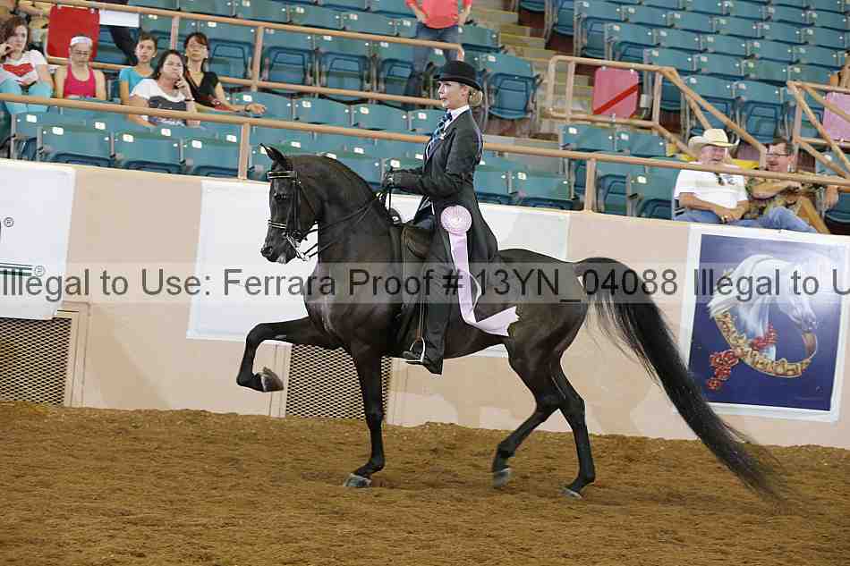Proof 13yn_04088