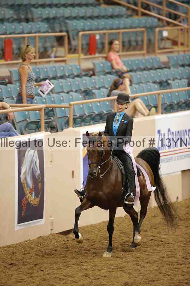 Proof 13yn_04089