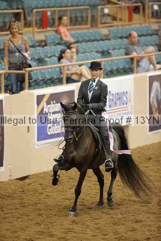 Proof 13yn_04090