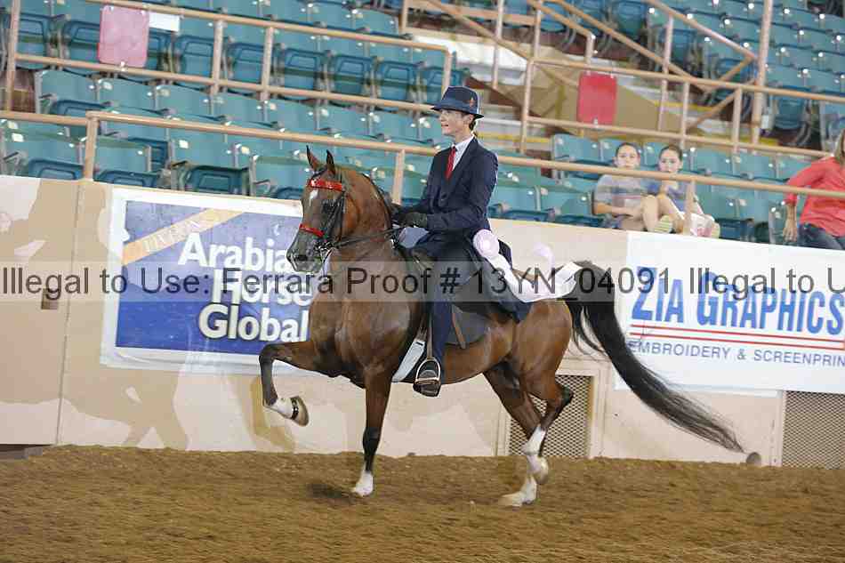 Proof 13yn_04091