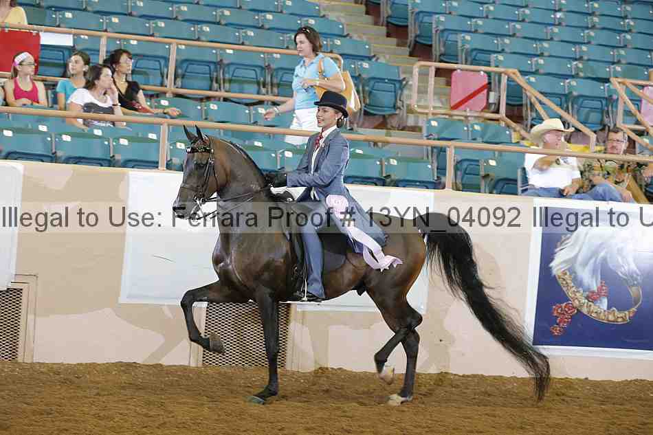 Proof 13yn_04092