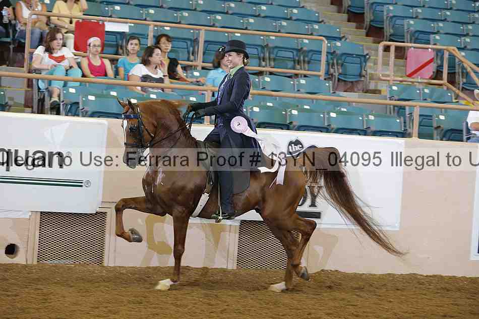 Proof 13yn_04095