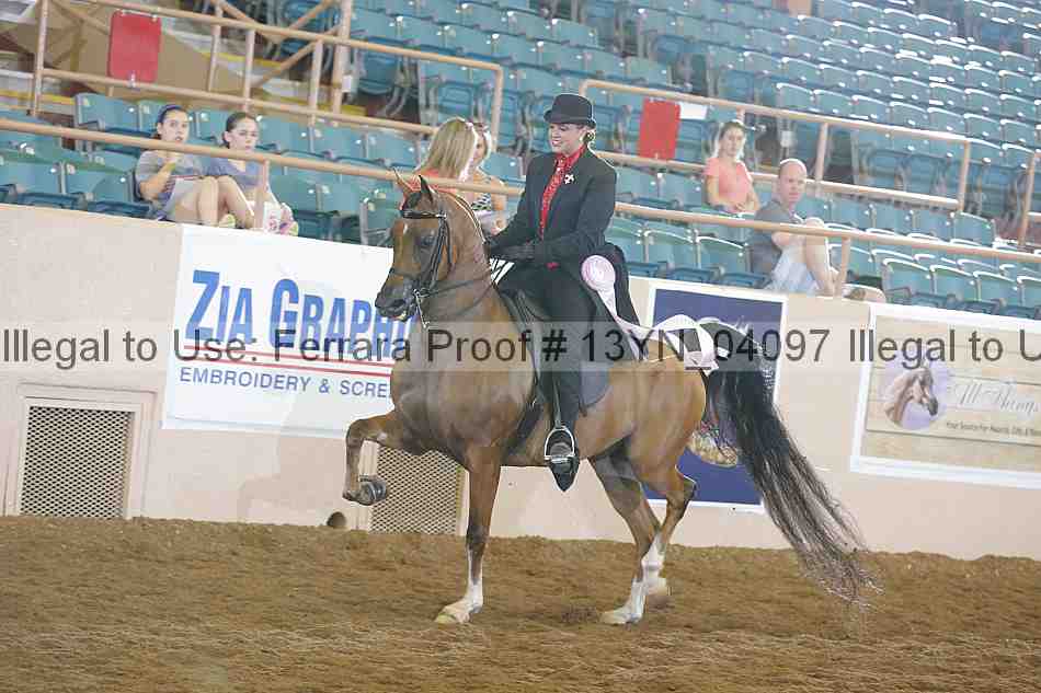 Proof 13yn_04097