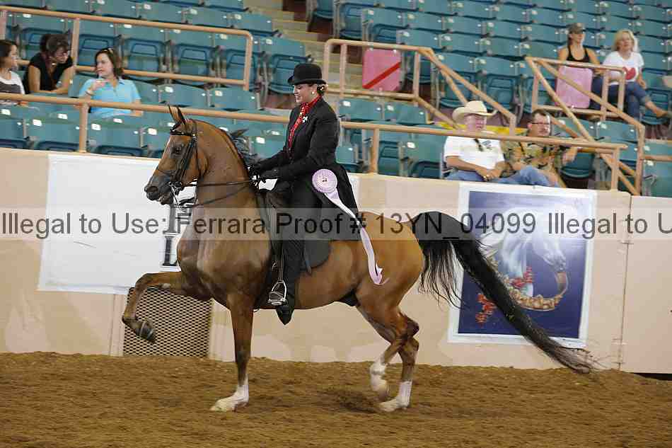 Proof 13yn_04099