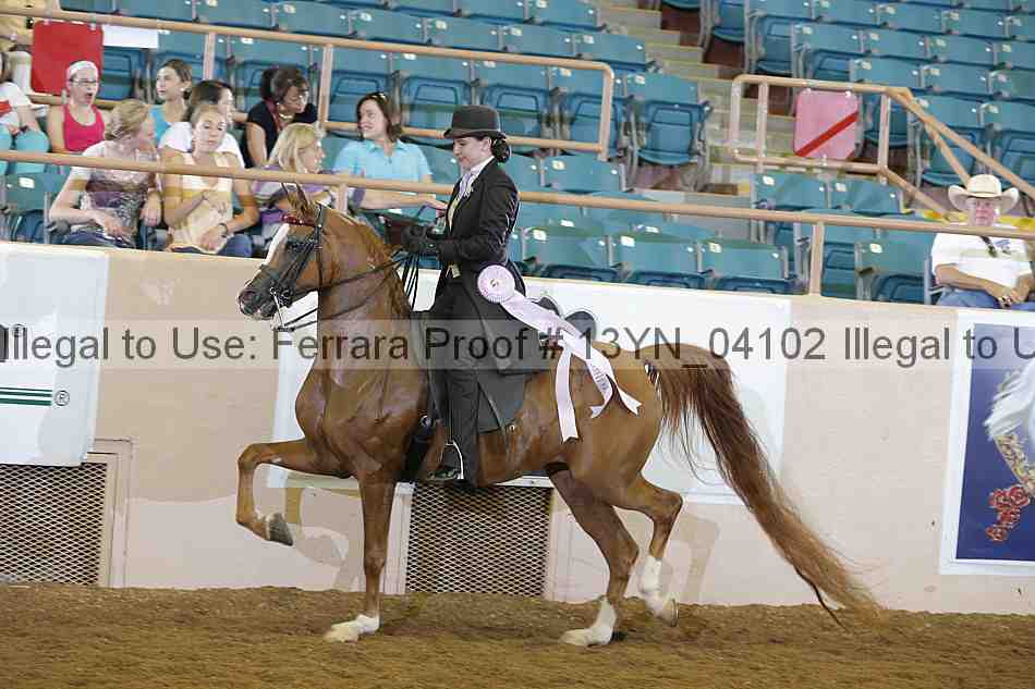 Proof 13yn_04102