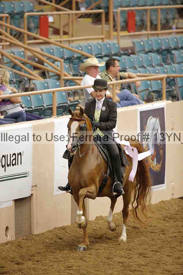 Proof 13yn_04105