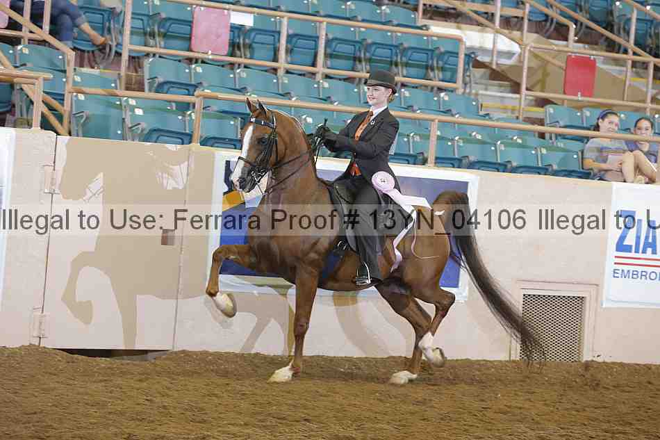 Proof 13yn_04106