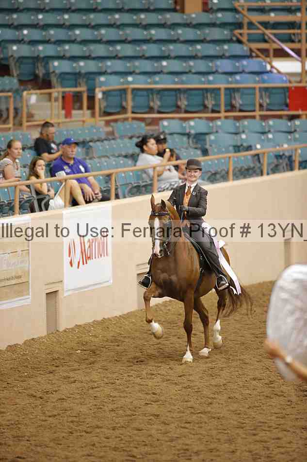 Proof 13yn_04107