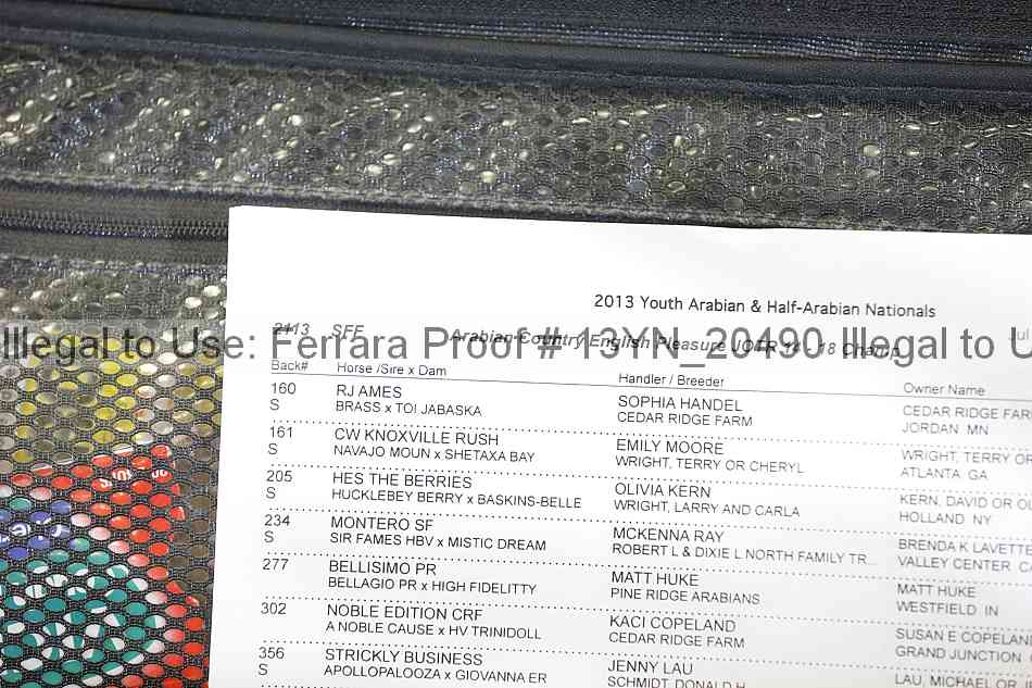 Proof 13yn_20490