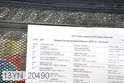 13yn_20490 proof