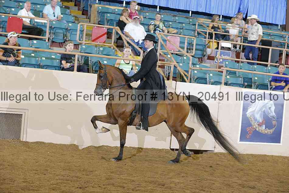 Proof 13yn_20491