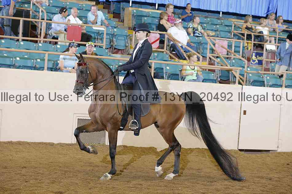 Proof 13yn_20492