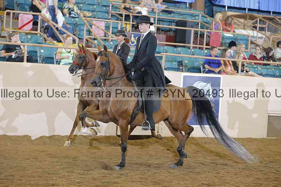 Proof 13yn_20493