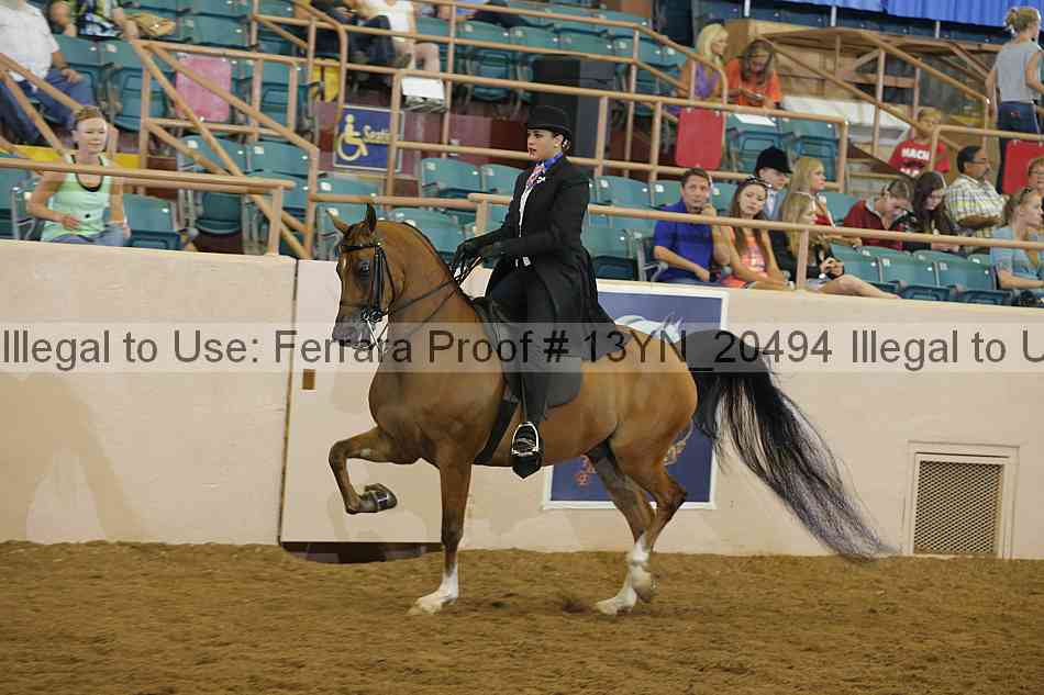 Proof 13yn_20494