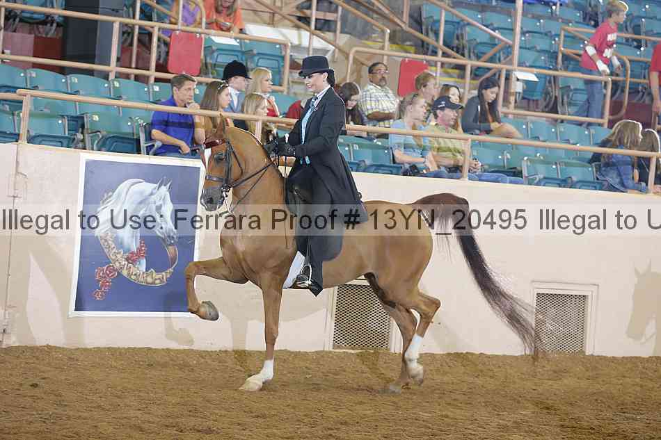 Proof 13yn_20495